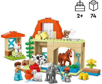 Gyvūnų priežiūra ūkyje