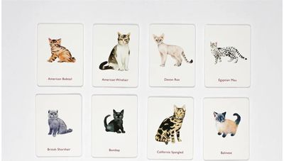 Stalo žaidimas Cats & Kittens a memory game (EN)