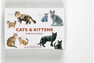 Stalo žaidimas Cats & Kittens a memory game (EN)