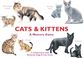 Stalo žaidimas Cats & Kittens a memory game (EN)