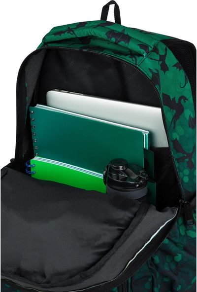 Kuprinė Pick DRAGONS, 43 cm