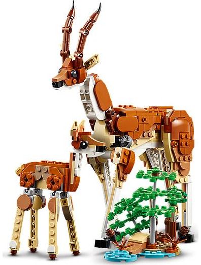 LEGO CREATOR Laukiniai safario gyvūnai
