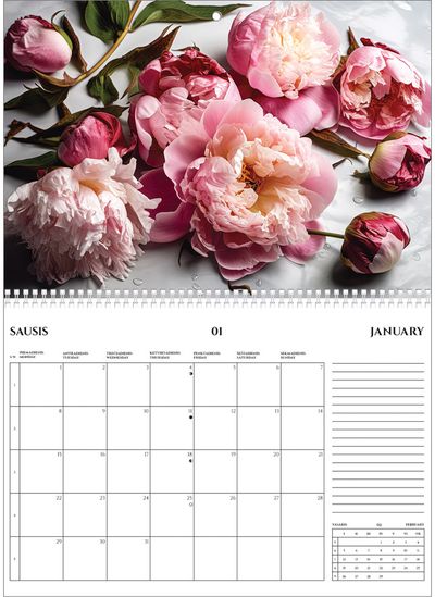 Sieninis kalendorius 2024 planuoklis LENGVUMAS