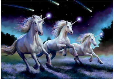 Dėlionė EDUCA 1000 Shooting Stars, Anne Stokes