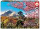 Dėlionė EDUCA OSAKA CASTLE, JAPAN 2000 det.