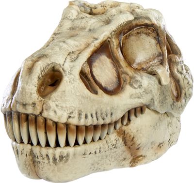 GROSSMOS Interaktyvus rinkinys Dino