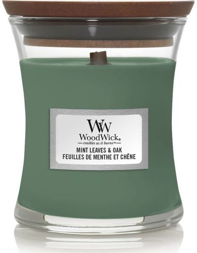 Žvakė WW MINI JAR MINT LEAVES & OAK