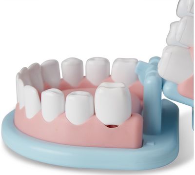 Žaislinis odontologo rinkinys M&D Super Smile Dentist Play Set