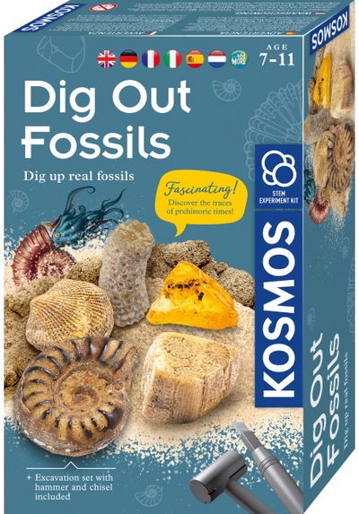 Mokslinis rinkinys KOSMOS DIG OUT FOSSILS