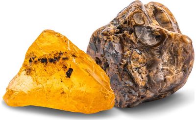 Mokslinis rinkinys KOSMOS DIG OUT FOSSILS