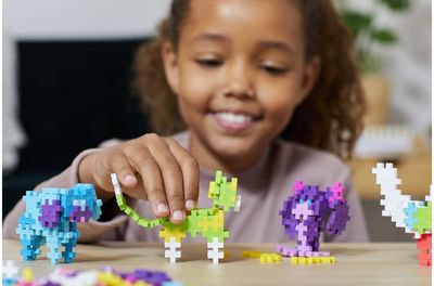 Konstruktorius PLUS PLUS Mokausi statyti gyvūnėlius, 275 det.