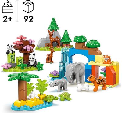LEGO DUPLO LAUKINIŲ GYVŪNŲ ŠEIMOS TRYS VIENAME 10446