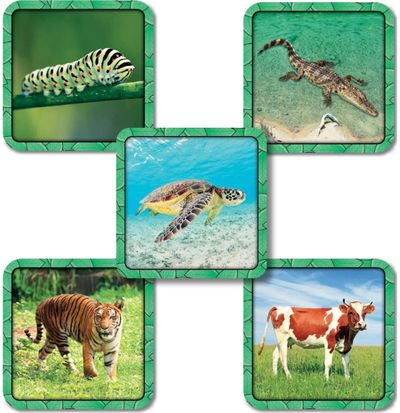 Stalo žaidimas SPECIFIC