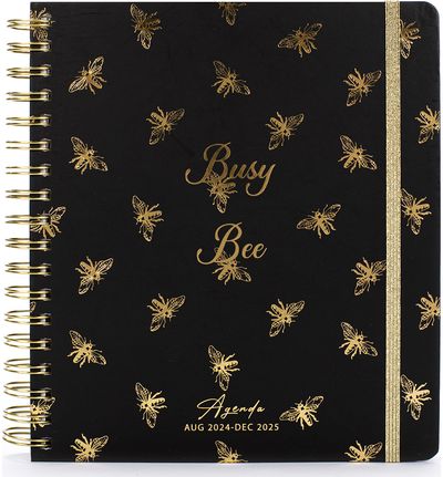 Darbo knyga TCD BUSY BEE 17 mėn. 2024 rugp. - 2025 gruod., 23,5 x 21 cm