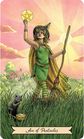 Taro kortos EVERYDAY WITCH TAROT CARDS KIT (EN)