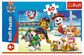TREFL PAW PATROL Dėlionė Šuniukai-patruliai, 60 det.