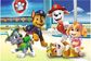 TREFL PAW PATROL Dėlionė Šuniukai-patruliai, 60 det.