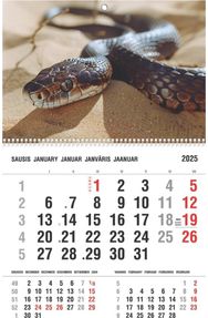 Sieninis kalendorius 2025 GYVATĖ 3in1 SK14