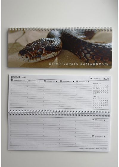 Dienotvarkės darbo kalendorius 2025 GYVATĖ SK8