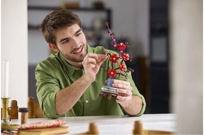 LEGO BOTANICALS Slyvos žiedai 10369