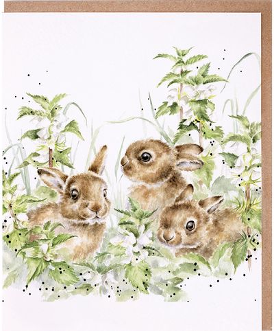 Atvirukas Spring Hares