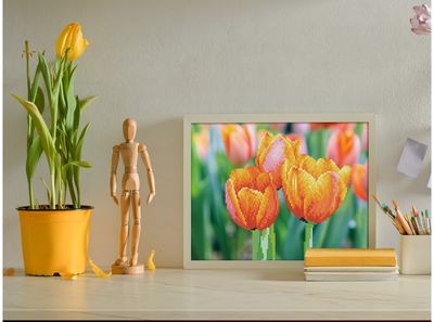Deimantinė mozaika LOVE TULIPS 27x35