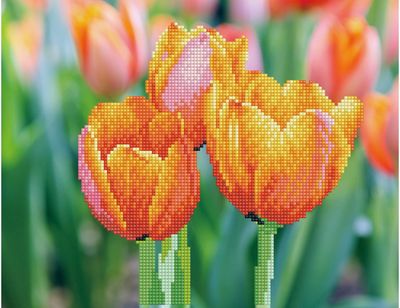 Deimantinė mozaika LOVE TULIPS 27x35