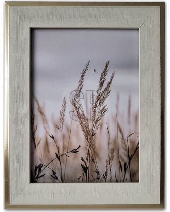 Nuotraukų rėmelis, GRS, įv. rūšys