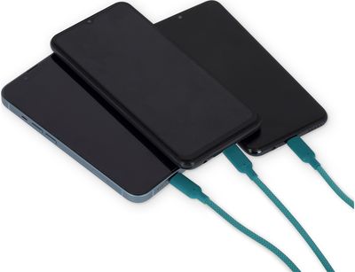 Įkrovimo laidas LEGAMI CHARGING & SYNC MULTICABLE - THREE HUGS - CACTUS