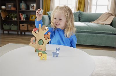 Medinis balansinis medis FISHER PRICE