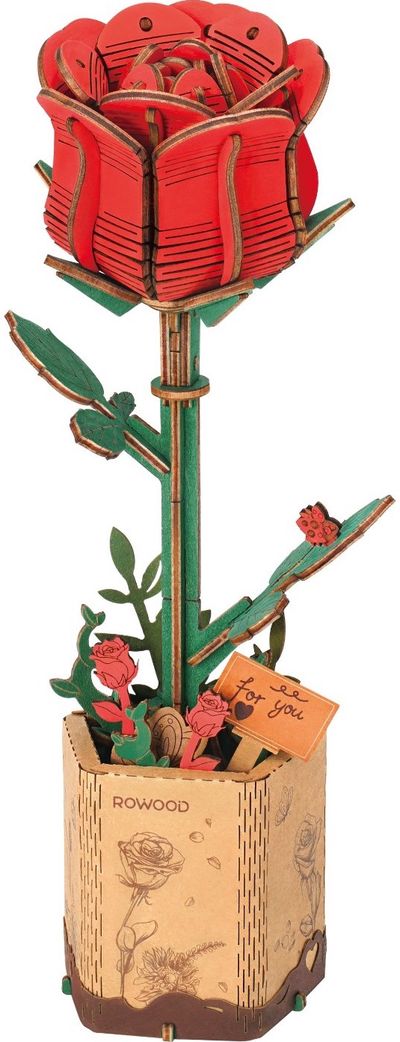 Modeliavimo rinkinys ROBOTIME raudona rožė