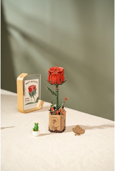 Modeliavimo rinkinys ROBOTIME raudona rožė