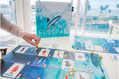 Stalo žaidima FINSPAN (EN)