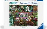 Dėlionė RAVENSBURGER Wizard's Shelf, 2000 det.
