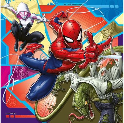 Dėlionių rinkinys RAVENSBURGER Spider-Man, 3x49 det.