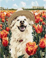 Tapyba pagal skaičius IDEYKA LAIMINGAS LABRADO 40x50