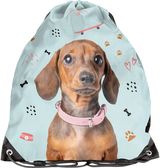 Sportinis maišelis PASO DOG, 45 cm, žydros sp.