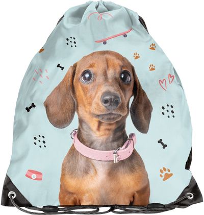 Sportinis maišelis PASO DOG, 45 cm, žydros sp.