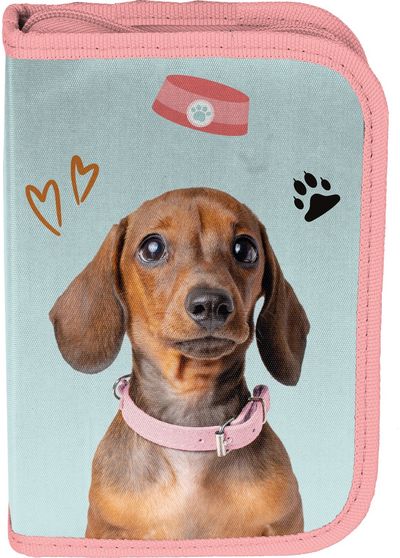 Forminis penalas PASO DOG, užpildytas, žydros sp.