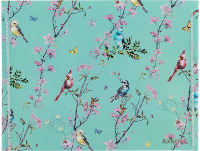 Aplankas (vokas) AXENT OS Spring, su spaustuku, B5