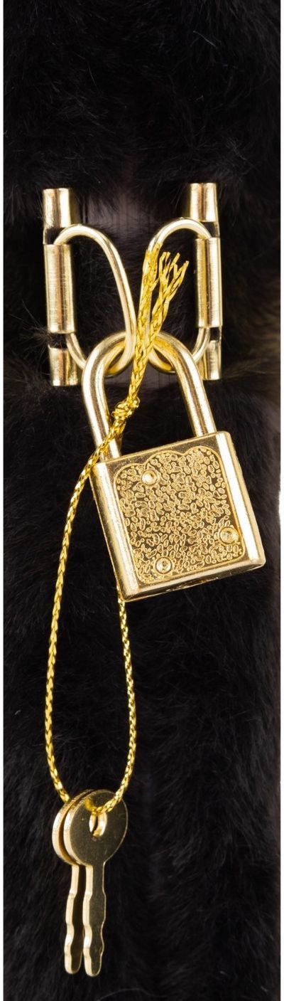 Dienoraštis su spynele Astrabag FLUFFY KITTY BLACK, A5, 70 g, 96 l.