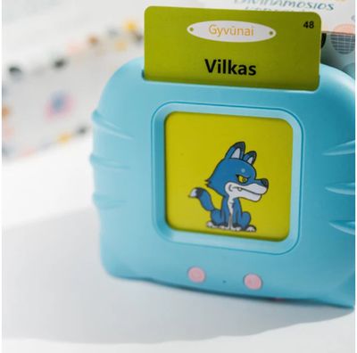 Kalbančios kortelės ABĖCĖ, dvispalvės, įvairių rūšių