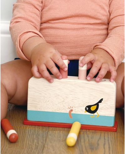 Medinis žaidimas MENTARI Paukštelio išlindimas