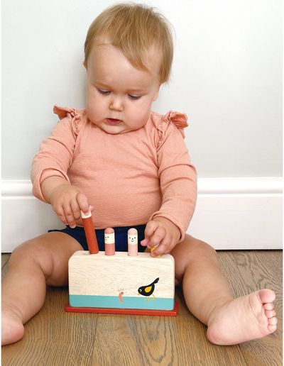 Medinis žaidimas MENTARI Paukštelio išlindimas