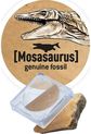 Rinkinys tyrinėjimui BUKI Iškask Brachiosaurus