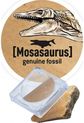 Rinkinys tyrinėjimui BUKI Iškask Stegosaurus