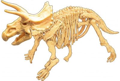 Rinkinys tyrinėjimui BUKI Iškask Triceratops