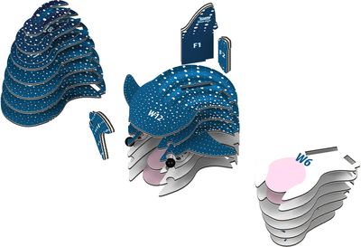 EUGY 3D kartoninis modelis Bangininis ryklys