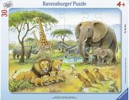 Dėlionė rėmelyje RAVENSBURGER Africas Wildlife, 30 det.