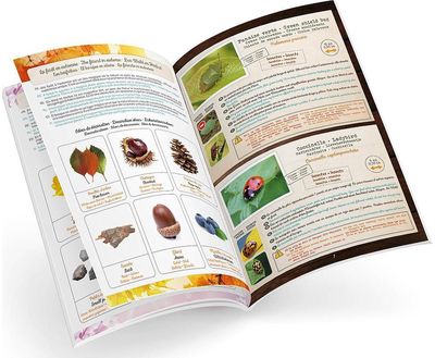 Vaikiškas terariumas BUKI